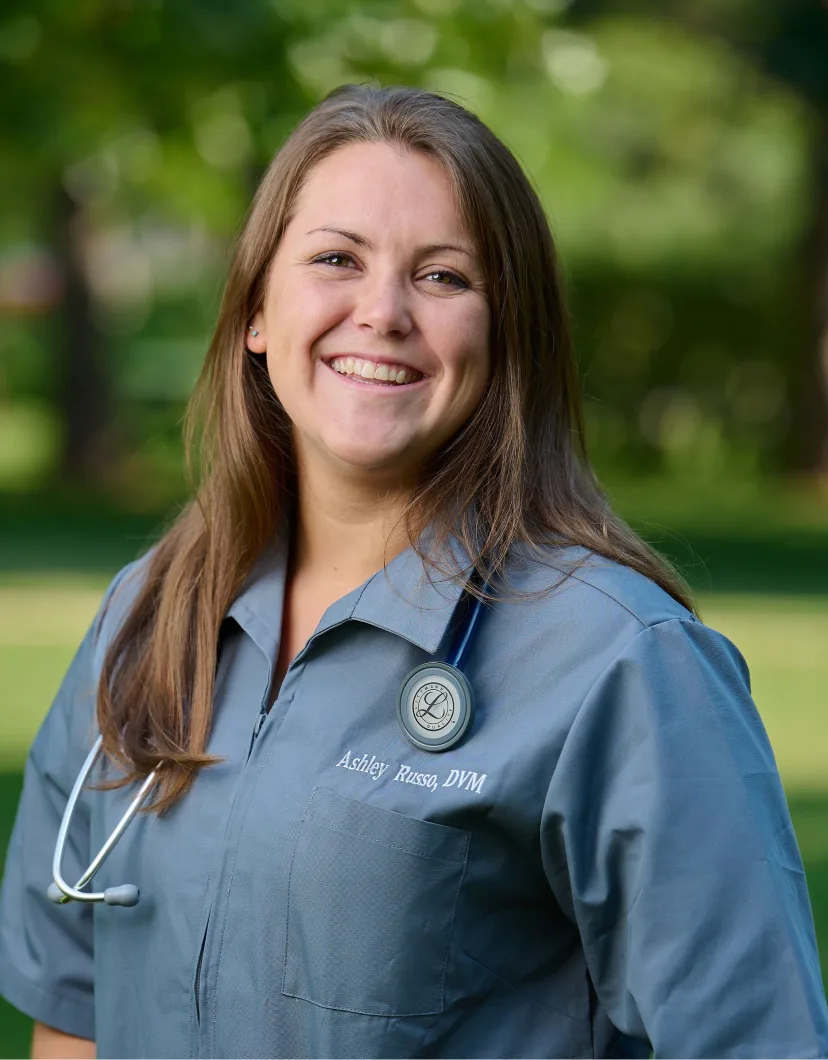 Dr. Ashley Russo at Pruyn Veterinary Hospital